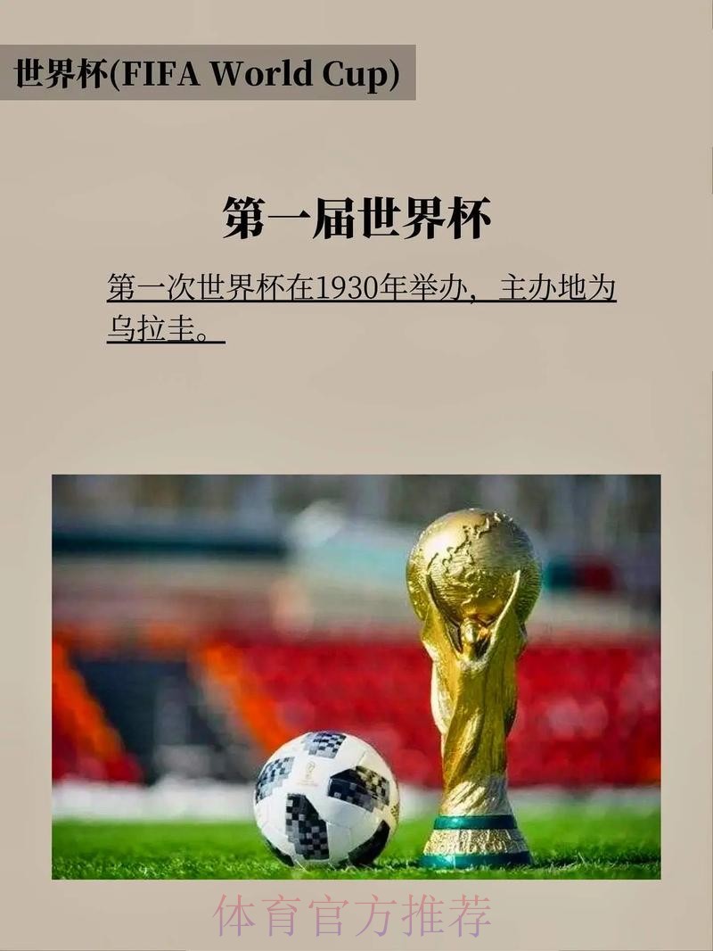世界杯下注入口:专家解读,助你稳操胜券 世界杯下注入口:专家解读,助你稳操胜券