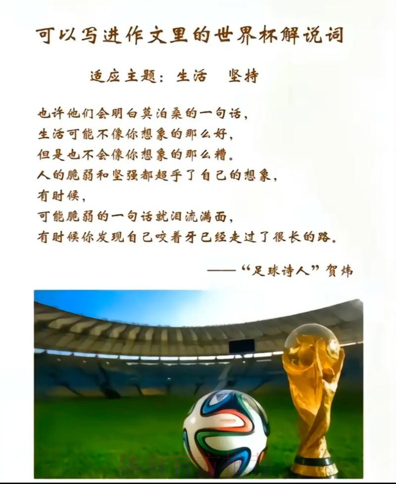世界杯下注入口:专家解读,助你稳操胜券 世界杯下注入口:专家解读,助你稳操胜券